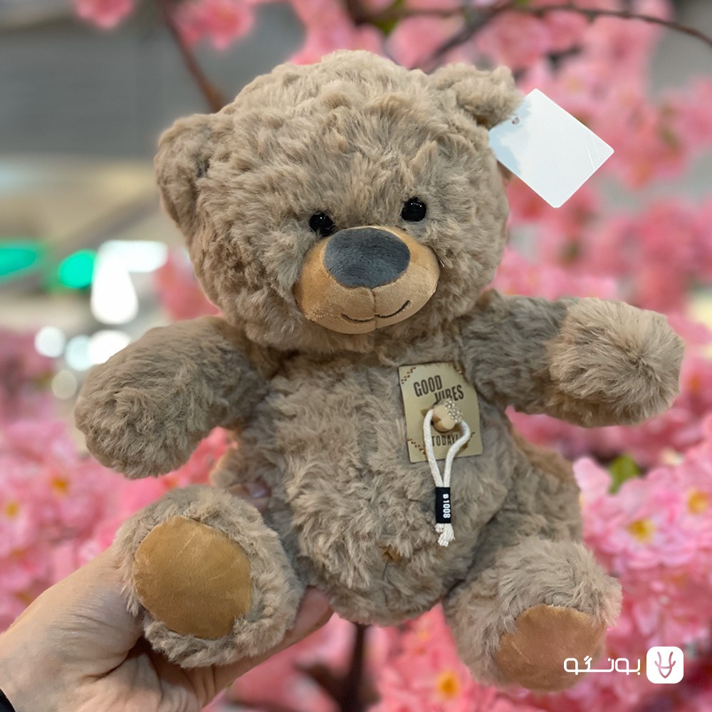 عروسک خرس پولیشی